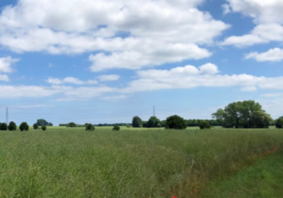 Gefion Group Sells Development Rights in Havdrup Skovby to Lind & Risør